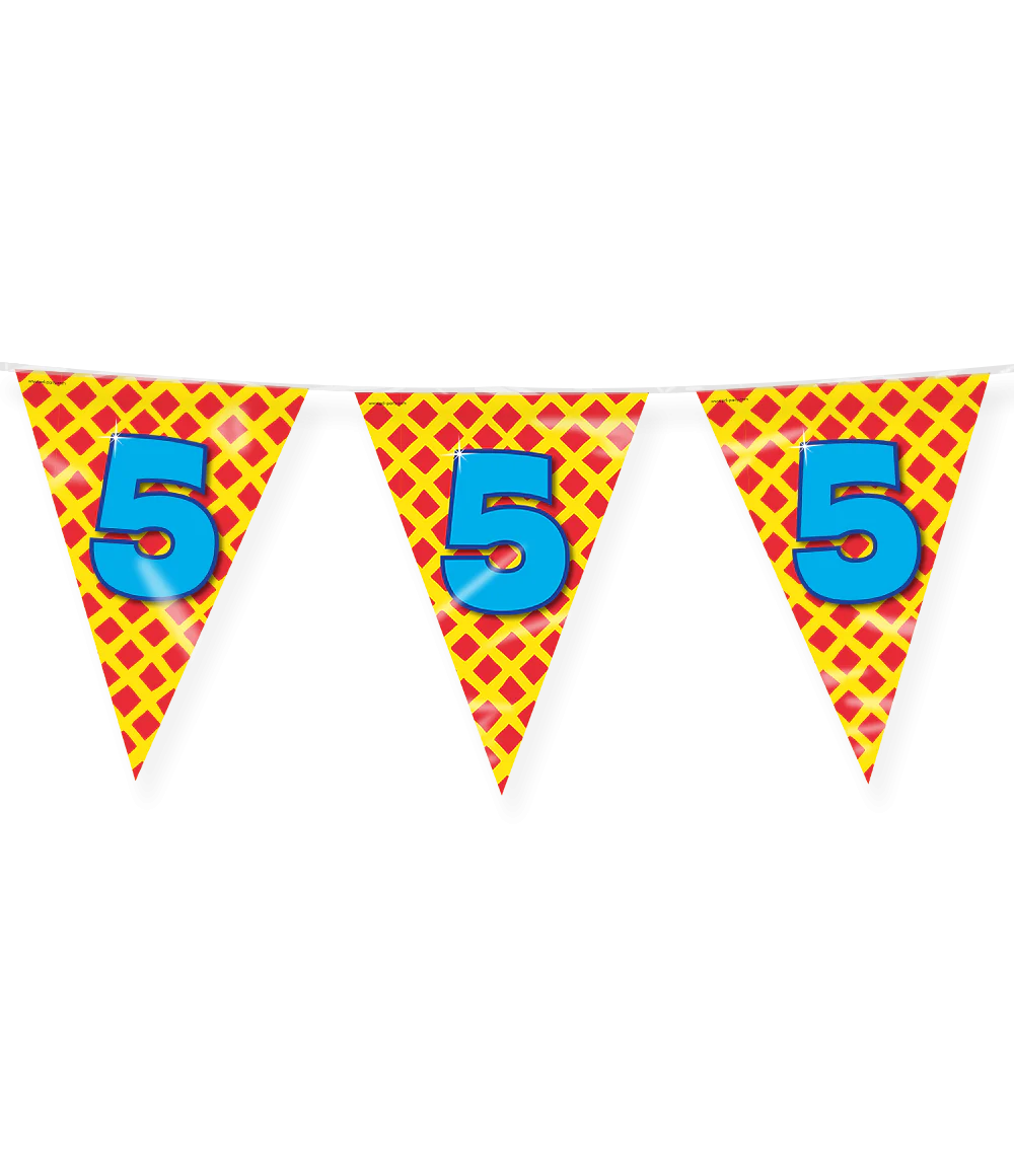 Vlaggenlijn 5 Jaar Gekleurd 10m