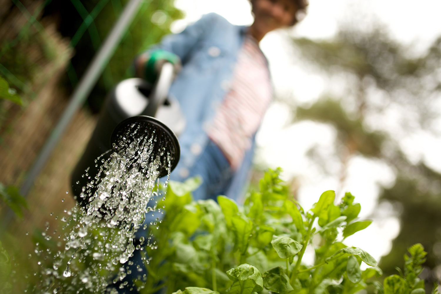 Tuin & water artikelen